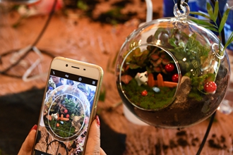 1520502480425885.jpg DSC_1598_副本_副本.jpg